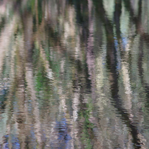 Reflets abbaye Sainte Anne de Kergonan